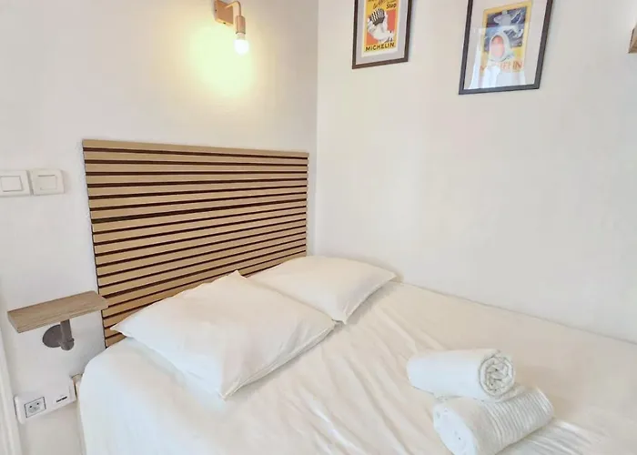 Apartment L'histoire Clermontoise - Tramway Au Pied Du