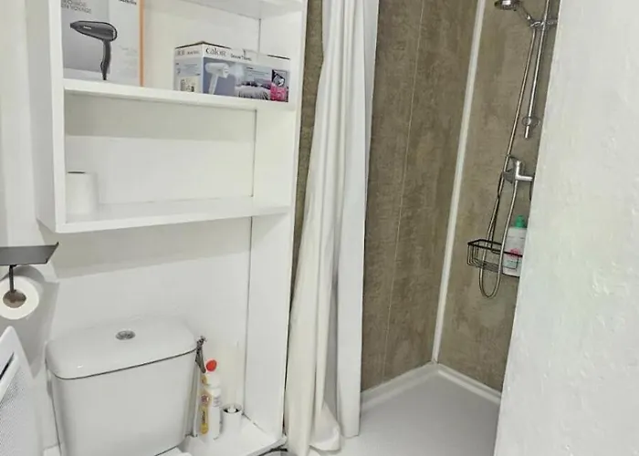 Apartment L'histoire Clermontoise - Tramway Au Pied Du *